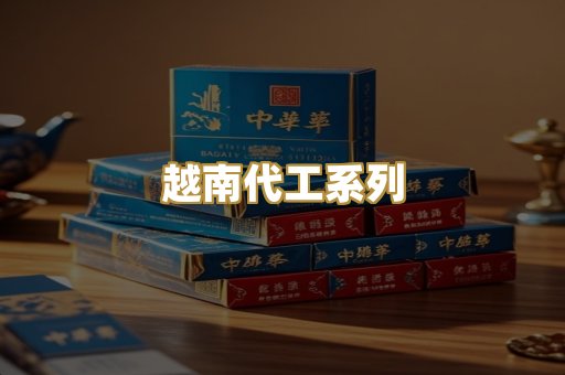 越南代工系列